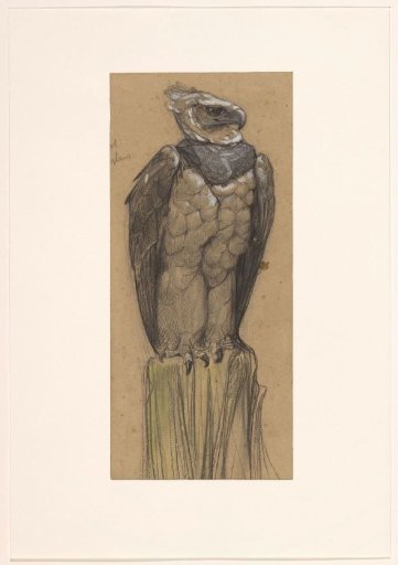 Harpy