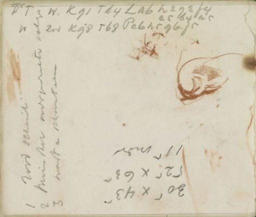 Study sheet with a toe and annotations
