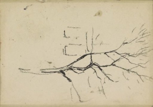 Tree in front of a building