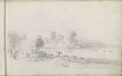 Hilly landscape with a meadow and pollarded willows
