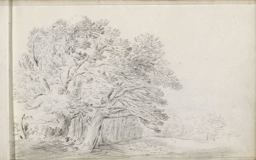 Landscape with a group of trees