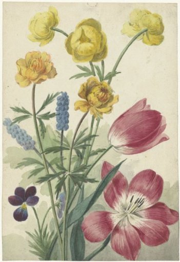 Bouquet of Tulips, Violets, Blue Grapes and Poppies