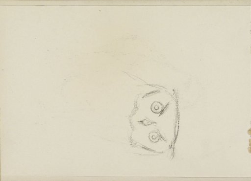 Head of an Owl