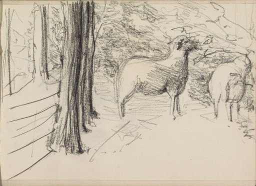 Grazing sheep among trees and bushes