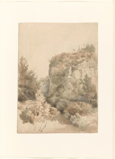 Wooded valley with a high rock and a stream