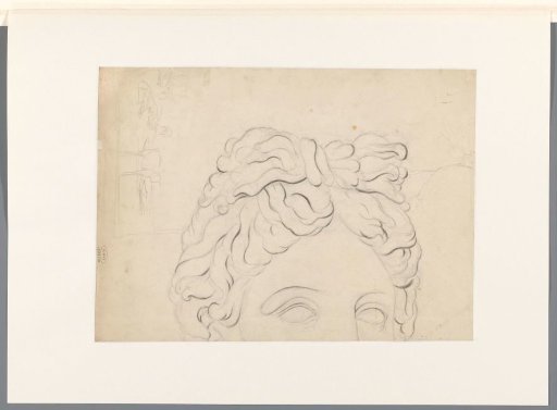 Fragment of a large drawing of a classical head and a sketch of cattle