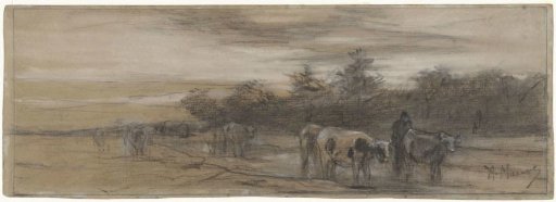 Cows at Evening