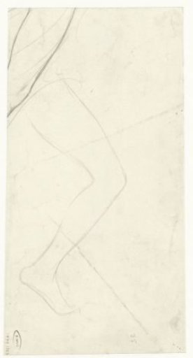 Leg and part of an arm