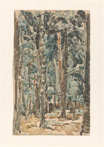Forest View