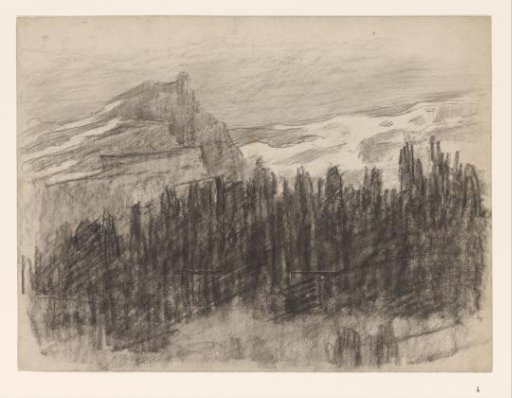Mountainous landscape with coniferous trees