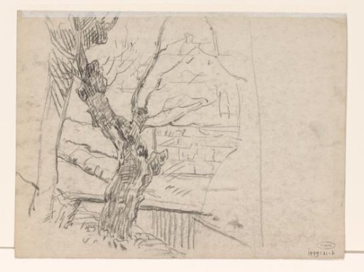 Tree study