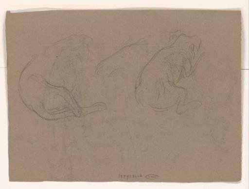 Two Sketches of a Dog