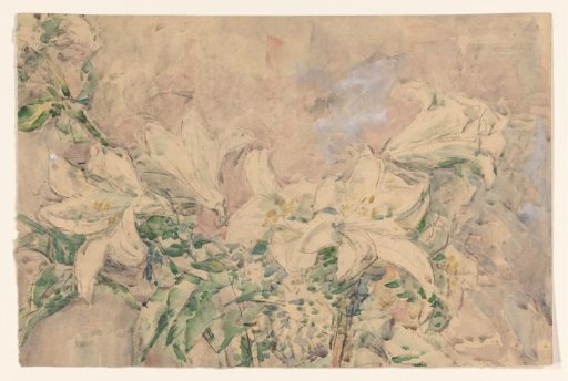 Lilies