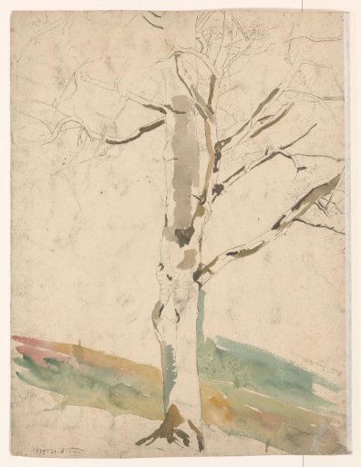 Study of a Tree