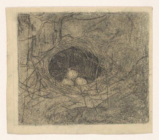 Nest with three eggs