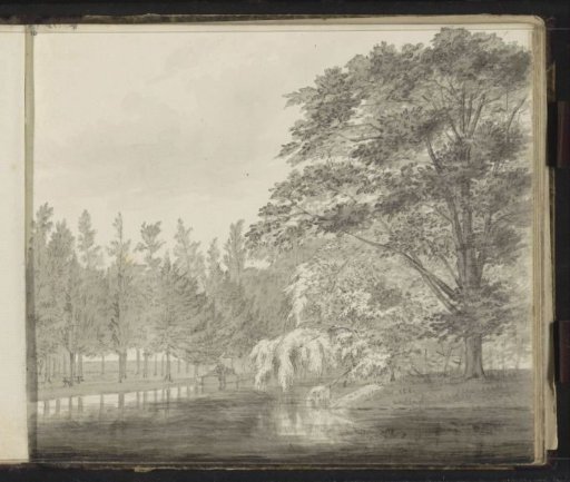 Trees by the water