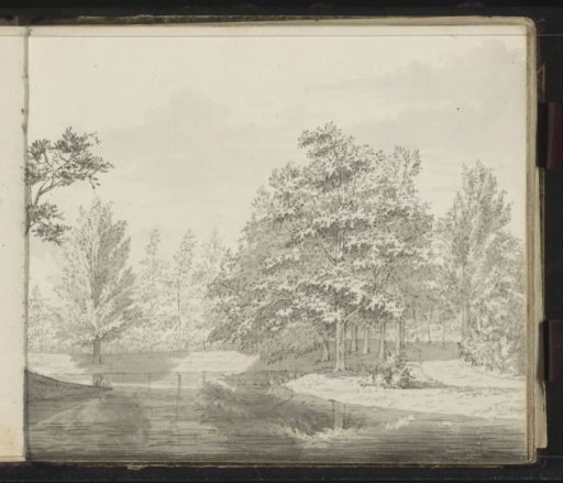 Landscape with trees by the water