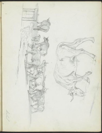 Landscape with a herd and an ox
