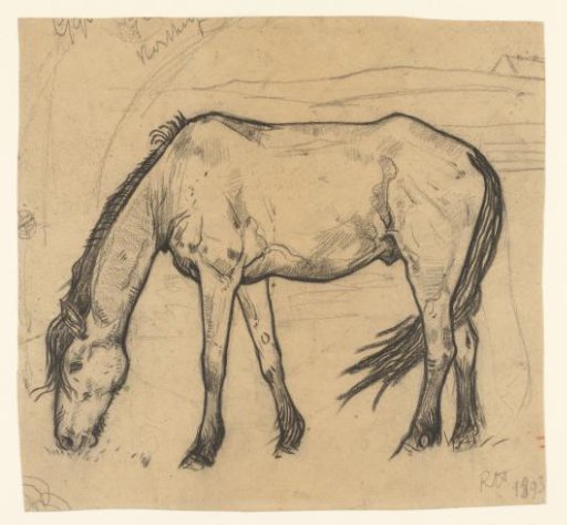 Grazing horse at Noordwijk