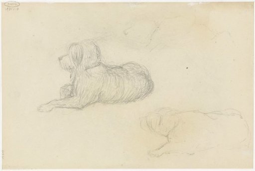 Two studies of a dog