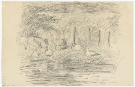 Four ducks on the bank