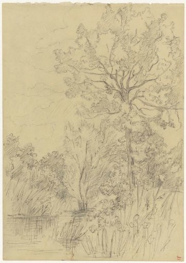 Landscape with trees and water