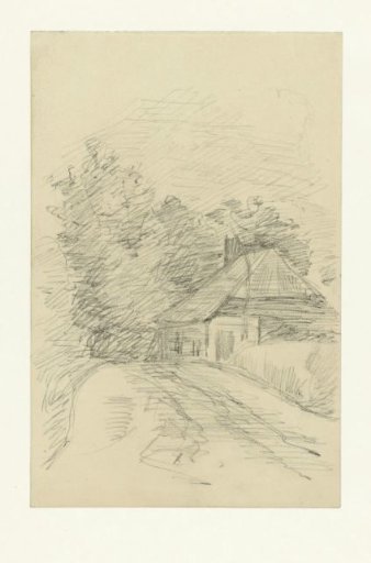 Farmhouse and trees by a road
