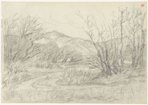 Road in a hilly landscape