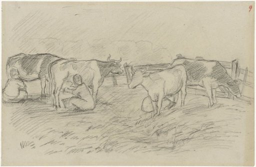 Cows in the meadow being milked