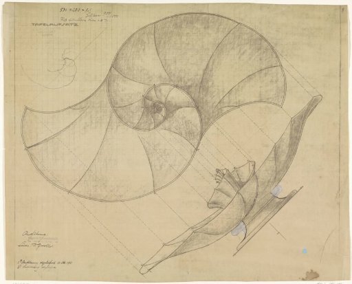 Design for a Silver Table Piece in the Form of a Shell