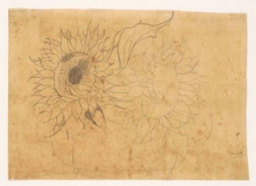 Two sunflowers in a vase