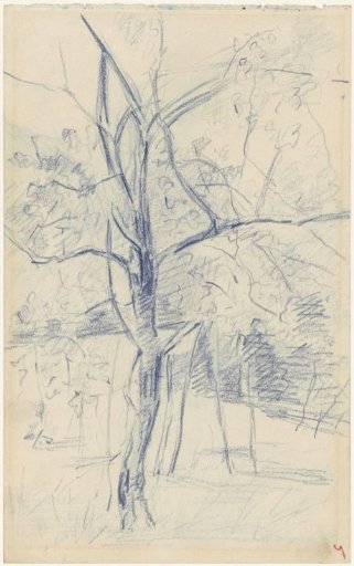 Small tree
