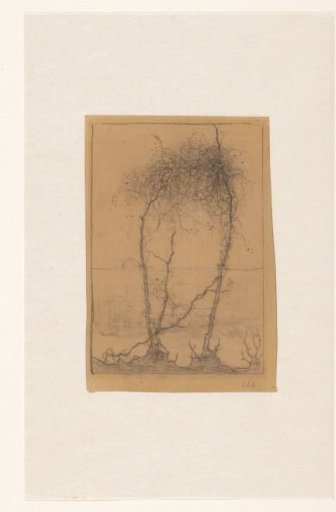 Three twisted saplings by the water