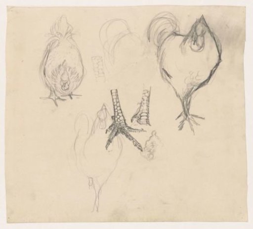 Two roosters, a hen, and three chicken legs