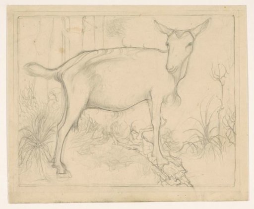 Goat on a tree trunk