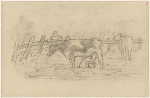 Meadow with two cows by a fence