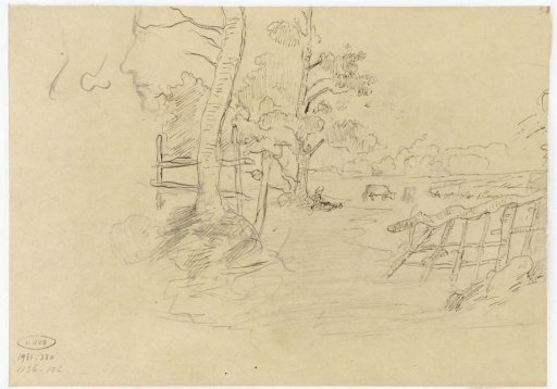 Meadows with trees and a fence