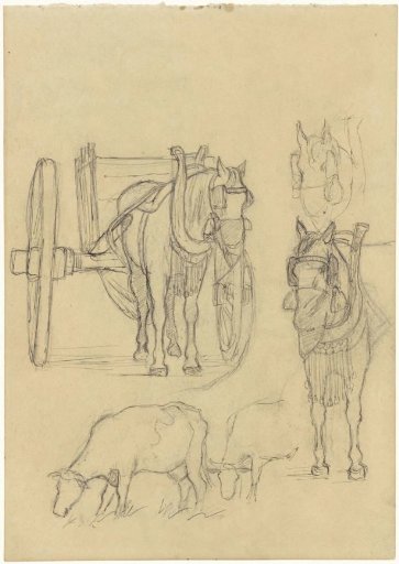 Studies of a horse eating and cows