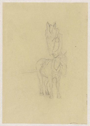 Sketches of a horse eating