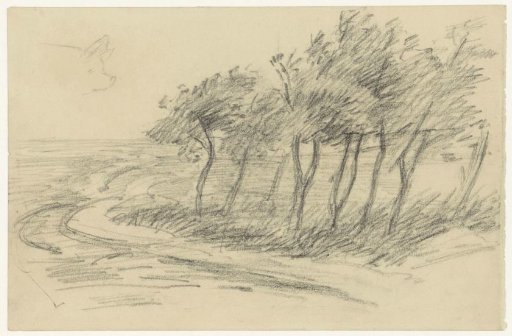 Trees in an open landscape
