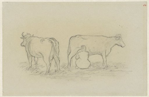 Two cows and a milking girl