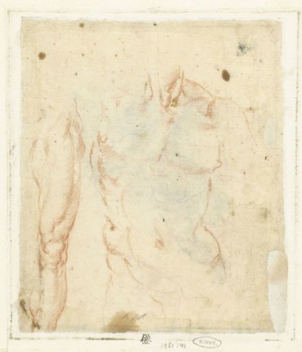 Male torso and leg