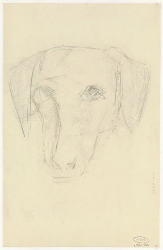 Sketch of a dog's head