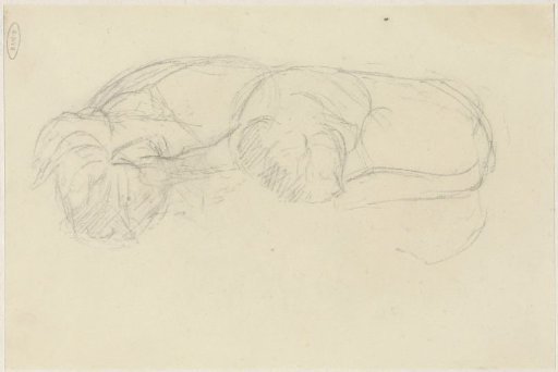 Reclining dog
