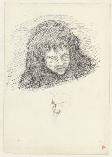 Head of a woman with a veil