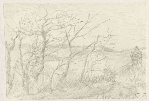 Dune landscape
