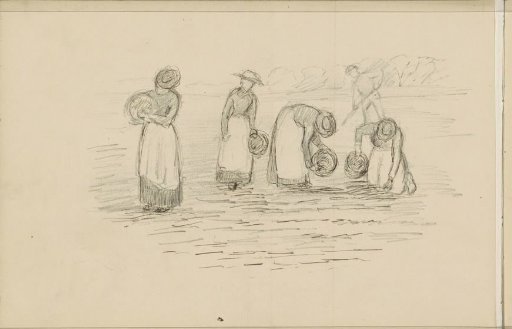 Four Women Digging Potatoes in a Field