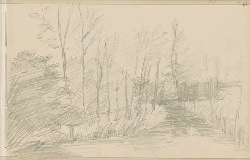 Landscape with trees along a waterway