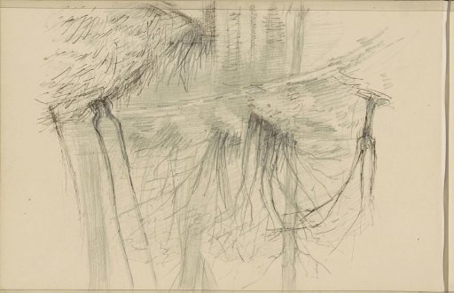 Trees by the Water's Edge