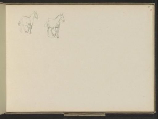 Horses